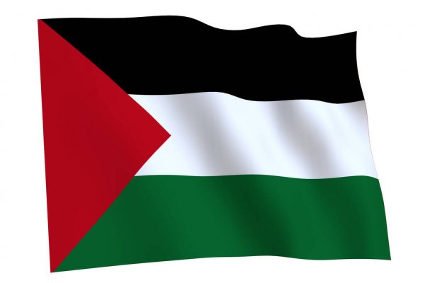 pix Gambar Bendera Palestina 3D